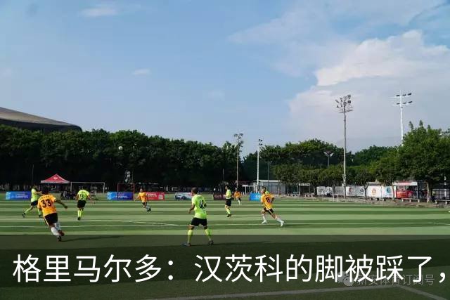 格里马尔多：汉茨科的脚被踩了，这球显然该判点